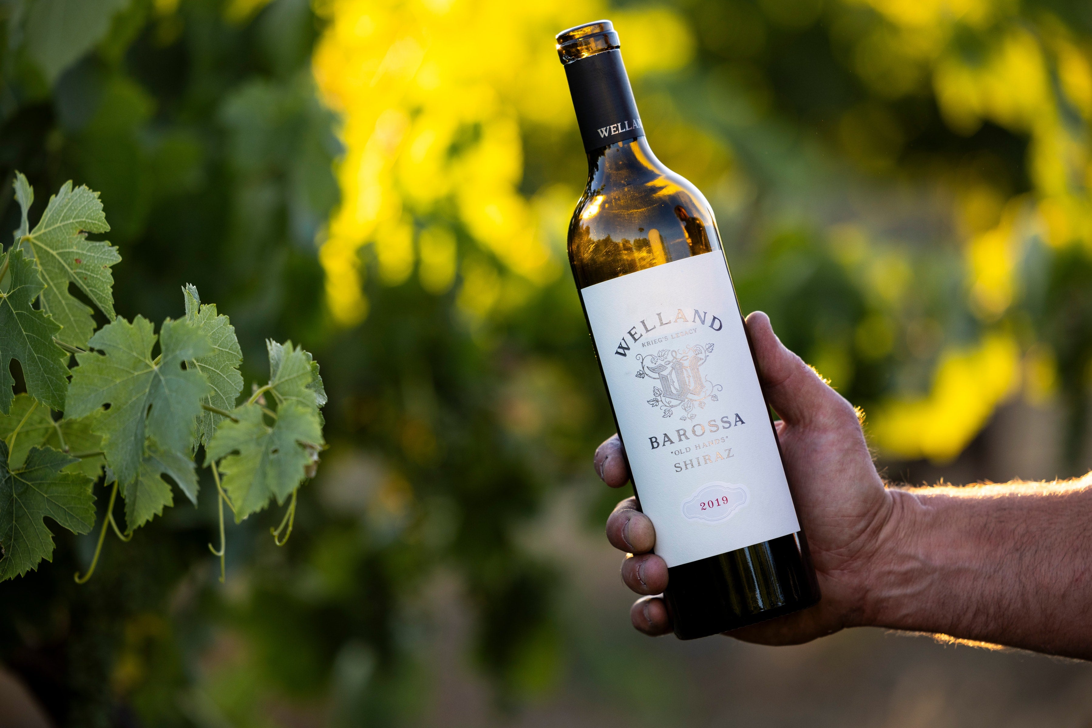 Valley & Valley Old Hands Shiraz Bundle | Welland Barossa